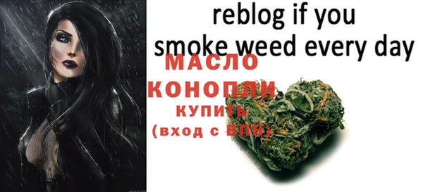 мяу мяу мука Пионерский
