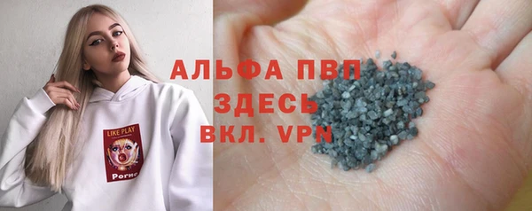 шишки Печоры