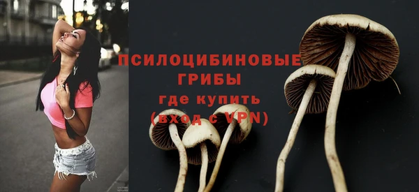 твердый Новокубанск