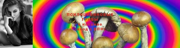 эйфоретик Новодвинск