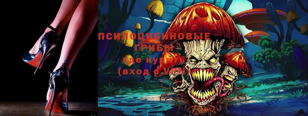 эйфоретик Новодвинск