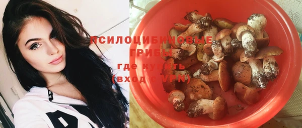 эйфоретик Новодвинск