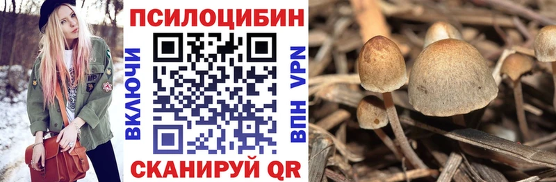 Псилоцибиновые грибы ЛСД закладки Тайга